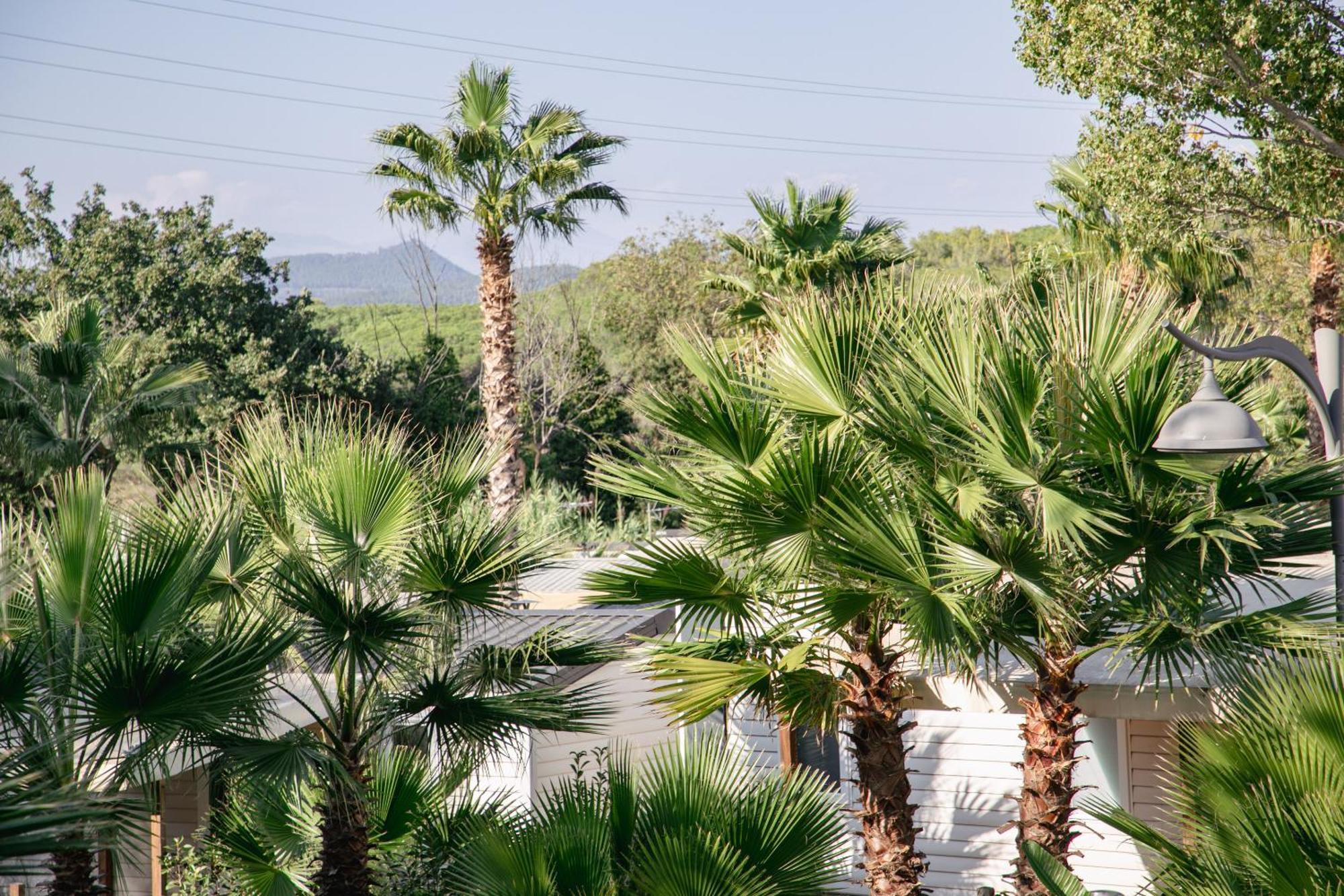 Site De Gorge Vent 3* Frejus